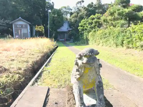 八幡宮の狛犬