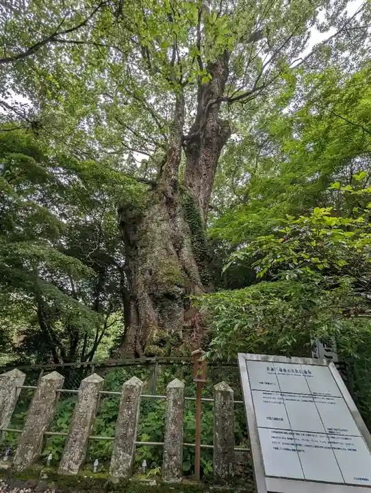 柞原八幡宮(大分県)