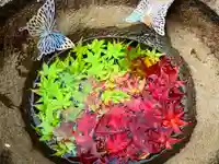 真言宗 善通寺派 薬王寺の手水舎