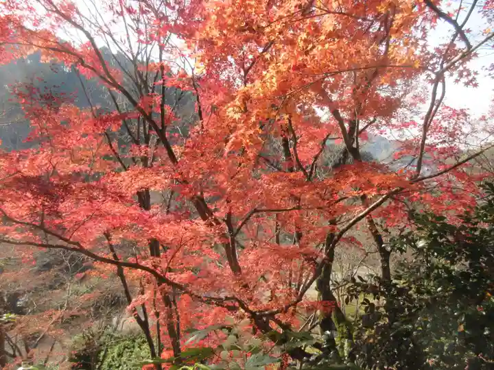 三室戸寺(京都府)