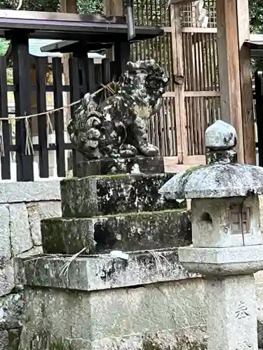 天満神社の狛犬