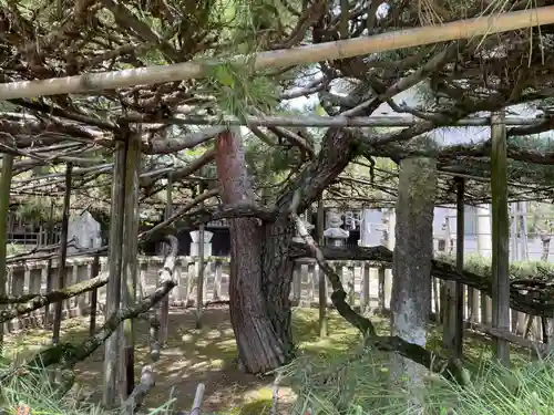 高砂神社の庭園