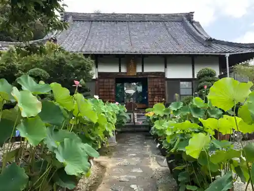香勝寺の本殿・本堂