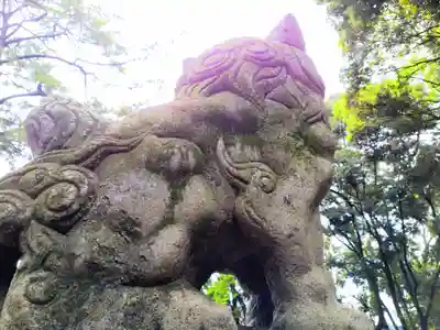 稲荷社（北明治稲荷社）の狛犬