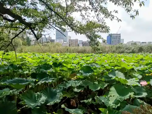 寛永寺不忍池弁天堂(東京都)