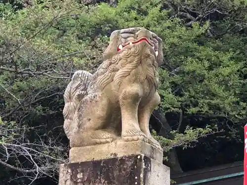 徳島眉山天神社の狛犬