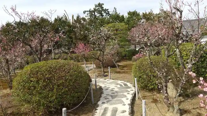 隨心院(随心院)の庭園