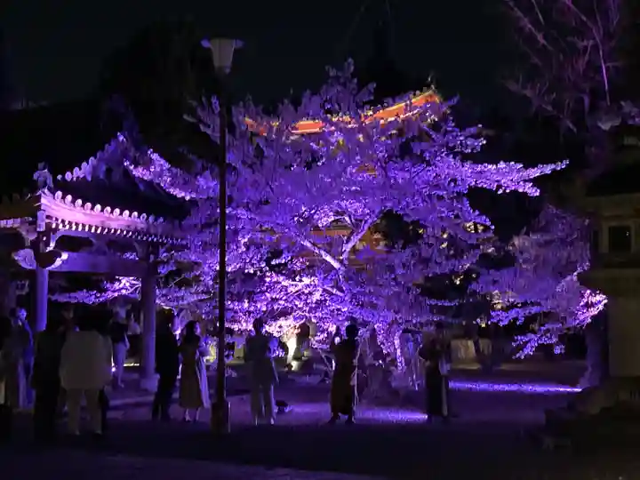 知恩院(京都府)