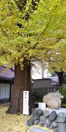 菅原神社の像