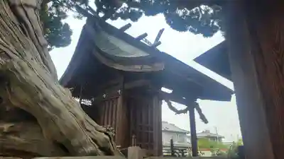 金刀比羅神社(愛媛県)