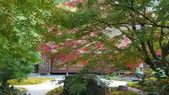 直指庵の御朱印 2019年11月