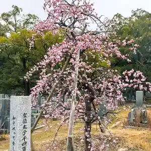 伊勢の国 四天王寺(三重県)(2025年03月07日(金) 10時42分37秒投稿)