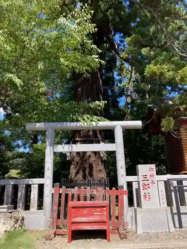 大杉神社(茨城県)