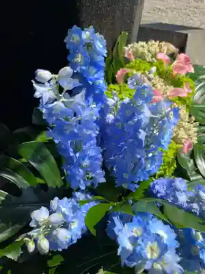 上尾御嶽神社の手水舎