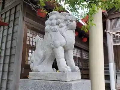 金刀比羅神社の狛犬
