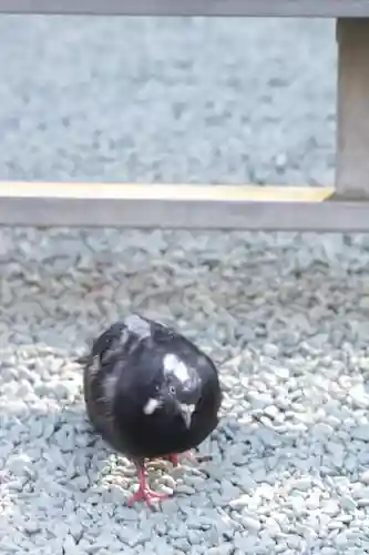 金王八幡宮(東京都)