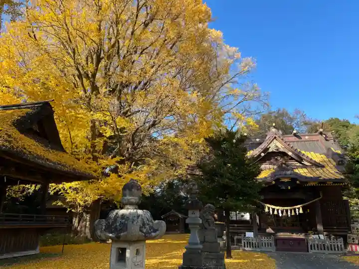 玉敷神社(埼玉県)