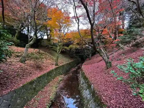 東福禅寺（東福寺）(京都府)