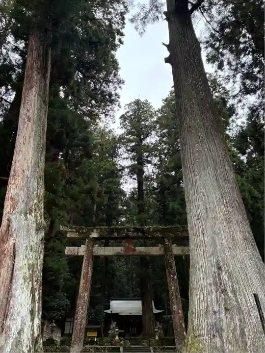 室生龍穴神社(奈良県)