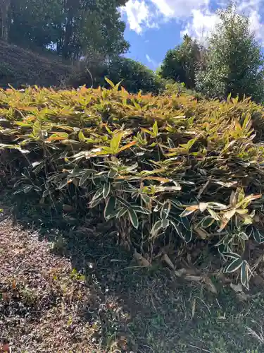 十輪寺(和歌山県)