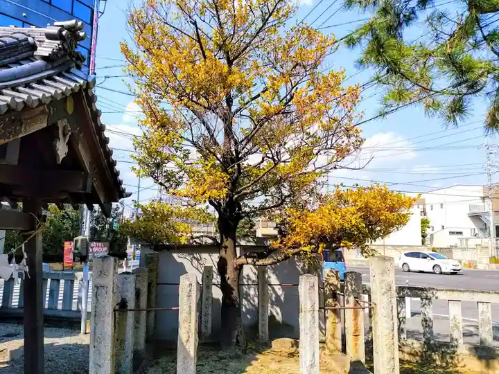 金刀比羅社のその他建物