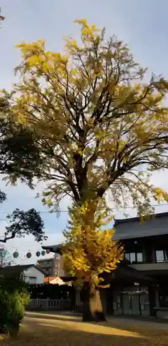 葛西神社のその他建物