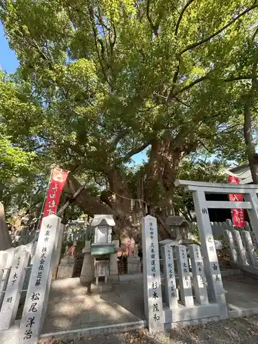 信太森神社（葛葉稲荷神社）(大阪府)