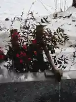 高司神社〜むすびの神の鎮まる社〜(福島県)