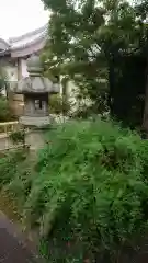 圓光禅寺の庭園