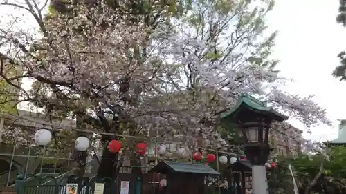 桜神宮(東京都)