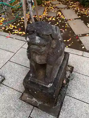 鳩森八幡神社の狛犬