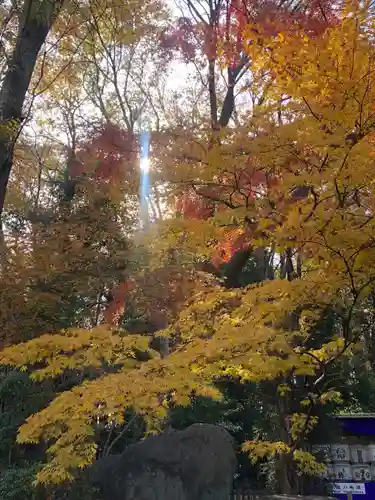 大國魂神社(東京都)