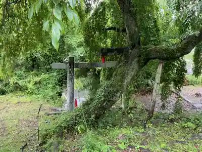 熊野神社の自然