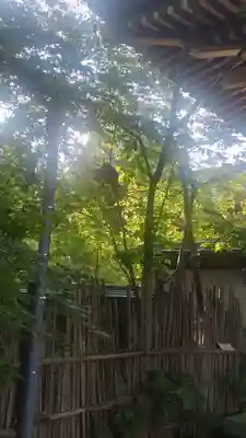 秋田県護國神社(秋田県)