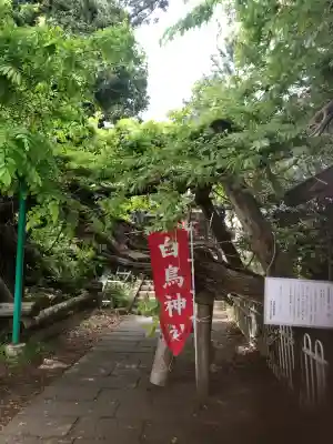 白鳥神社(宮城県)