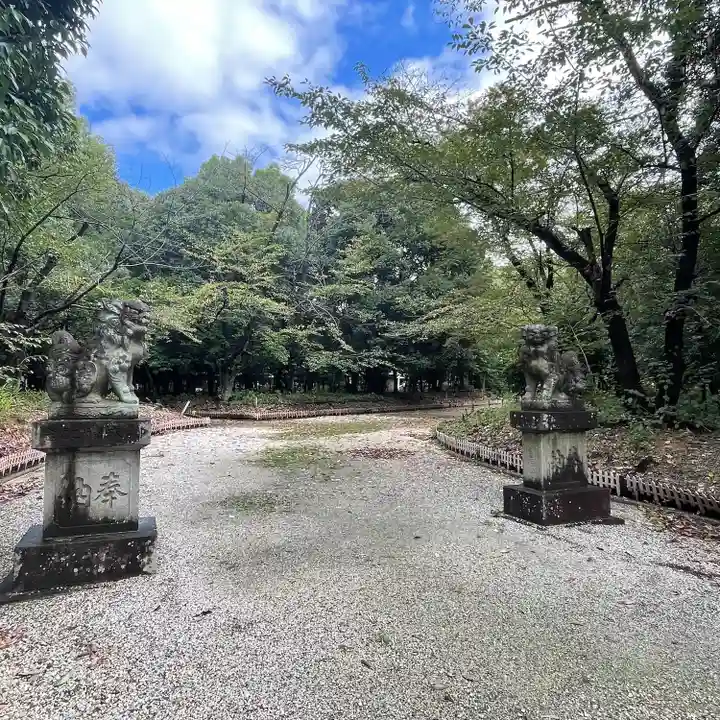 八幡社(柏井町)の狛犬