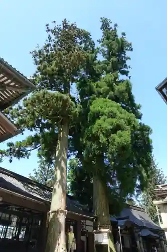 能勢妙見山（真如寺境外仏堂）の自然