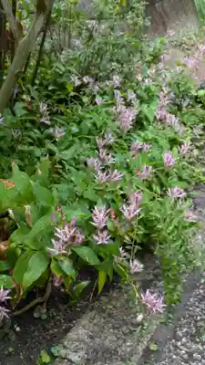 冷雲院(大阪府)