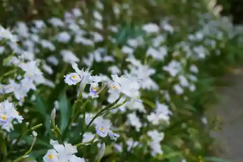 杉山谷不動尊(京都府)
