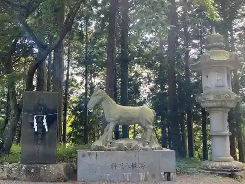 冨士御室浅間神社の狛犬