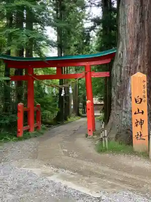 白山神社(岩手県)