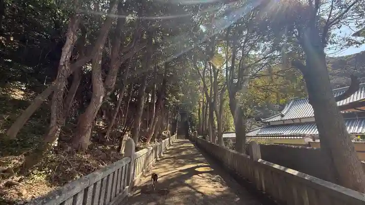 八幡神社(徳島県)