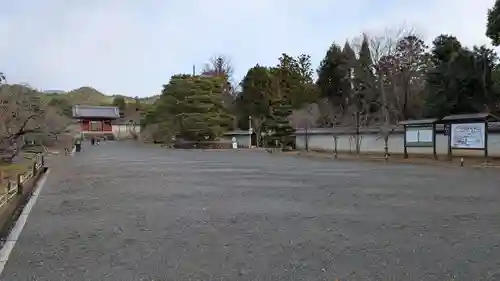 仁和寺の景色