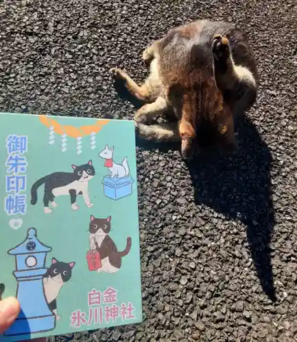 白金氷川神社(東京都)
