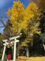 安楽寺釈迦堂(滋賀県)