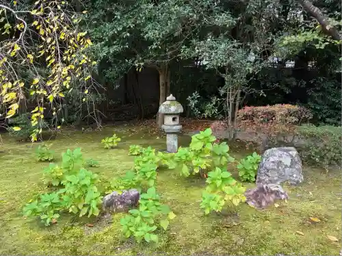 金地院(京都府)