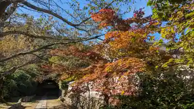 宝菩提院願徳寺(京都府)