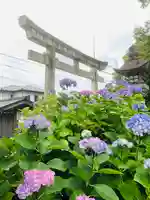 御裳神社の鳥居