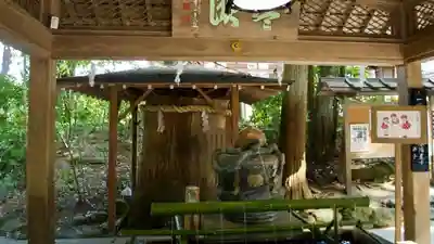 大神神社の手水舎