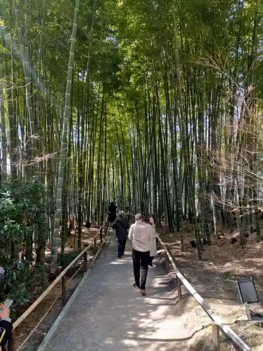 高台寺(高台寿聖禅寺・高臺寺)(京都府)